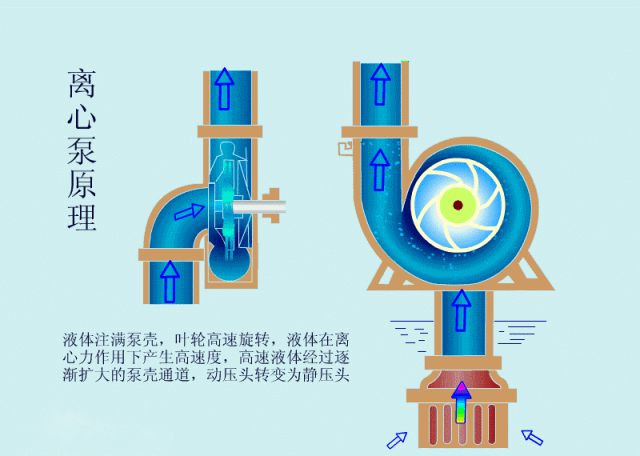 图片[2]-离心泵启动时为什么要关闭出口阀门？